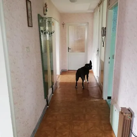 アパート Grande Nella Piccola Cortina ローマ