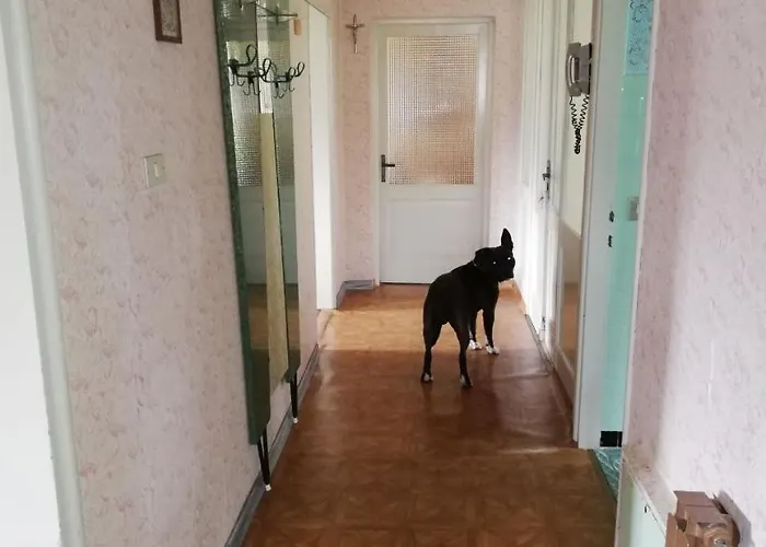 Apartamento Grande Nella Piccola Cortina Roma